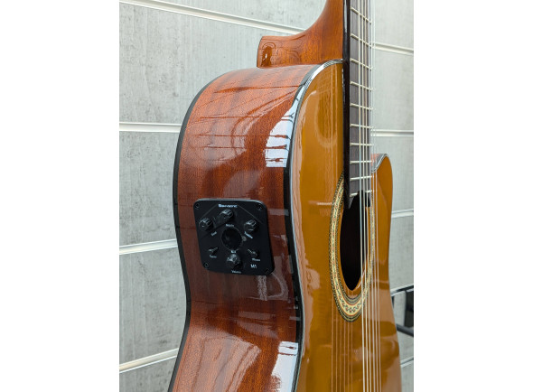 alysee-cl200ceg-guitarra-classica-cutaway-4-4-acabamento-brilhante_6a2c1d8e1f8df.jpg