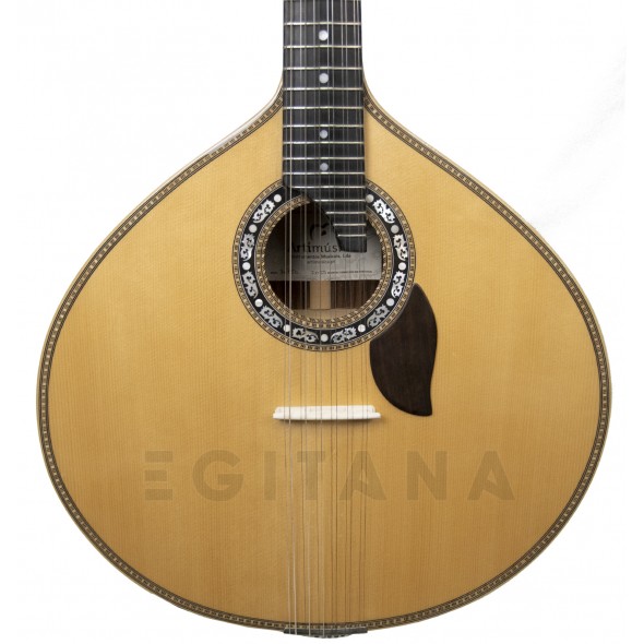 artimusica-artimusica-70750-luthier_5f5f4a1c55393.jpg