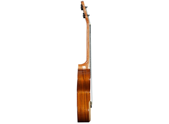 barnes-mullins-tenor-ukulele-walnut_6915ae3c1e10d.jpg
