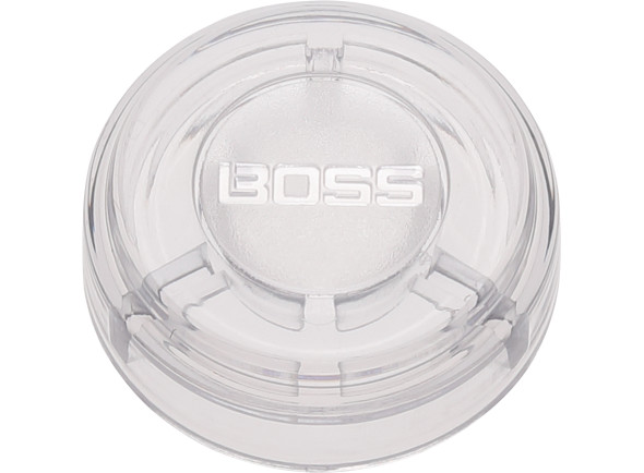 boss-fsc-10_695d3c1c083cf.jpg