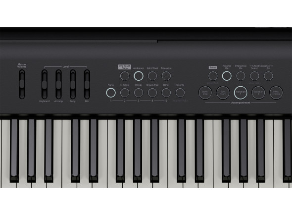 broland-fp-e50-piano-profissional-com-caixa-ritmos-arranger-88-teclas-pesadas-usb-bluetooth-zen-core-best-seller-b_683d6b1dcf151.jpg