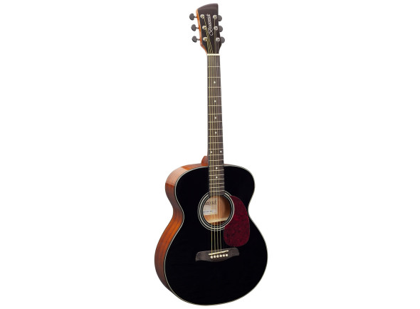 brunswick-bf200bk-grand-auditorium-black-gloss_69af06acdd199.jpg
