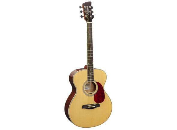 brunswick-grand-auditorium-natural-gloss_691469762bd38.jpg
