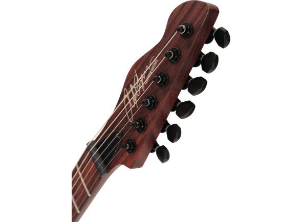 chapman-guitars-law-maker-legacy-forest-moss-green_6915d7c5d6899.jpg