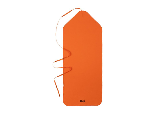daddario-rico-anti-microbial-swab-large_691c875720382.jpg