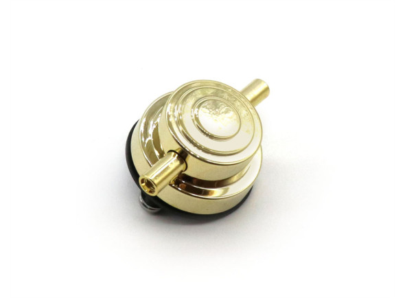 dw-lug-drsp10140ddgd-dourado_69244f6d802b6.jpg