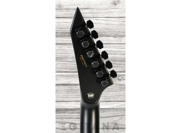 esp-e-ii-horizon-nt-ii-emg-stbcsb_635c05ce5967b.jpg