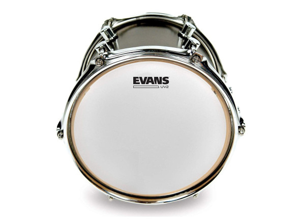 evans-16_6916fe4367886.jpg