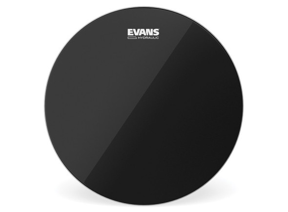 evans-22_69c3f47d163ce.jpg