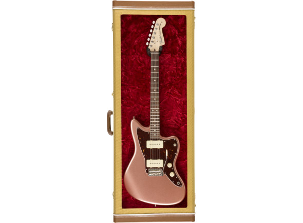 fender-guitar-display-case-twd_67acc5c191cff.jpg