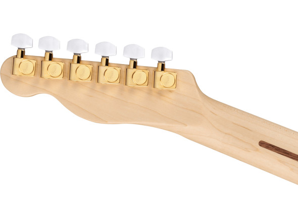 fender-james-burton-maple-fingerboard-red-paisley-flames_6821ff8a071fe.jpg