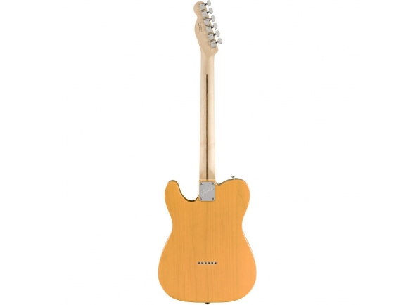 fender-limited-edition-american-performer-telecaster-mn-butterscotch-blonde_5df78d2702bbf.jpg