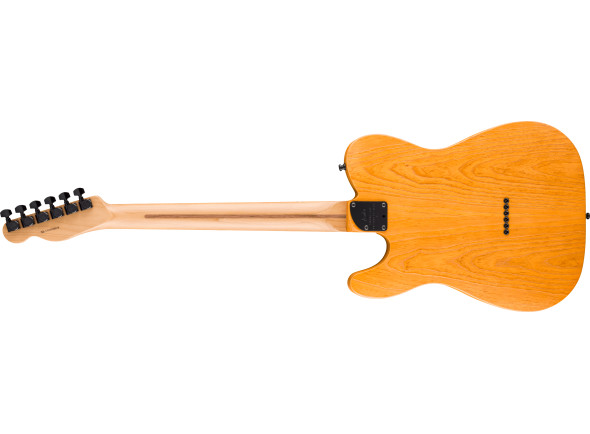 fender-ltd-am-pro-ii-tele-hh-agn_67d04666cd201.jpg