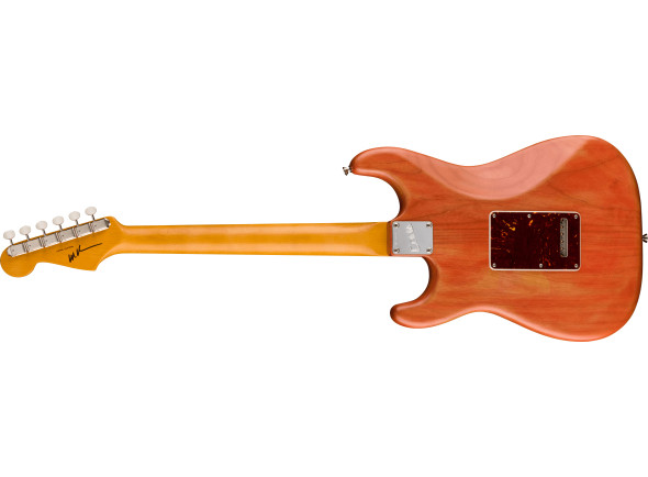 fender-michael-landau-coma-strat_680a09c30a8c1.jpg