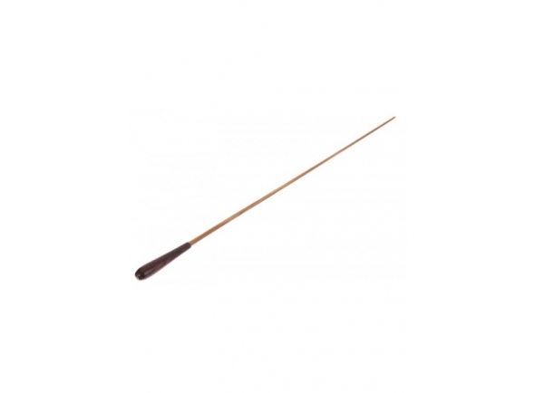 gewa-baton-912410_5bef01c23d7d2.jpg
