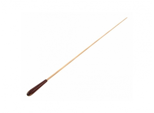 gewa-baton-912414_5c7fa4c334e60.jpg