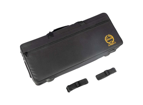 grassi-saxofone-alto-sal700-kit-bg-lacado_686bcbd1b90b9.jpg