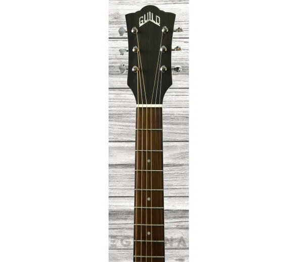 guild-om-240ce-westerly_612de9cdd3da3.webp