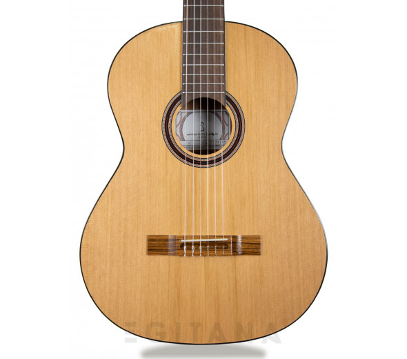 guitarra-classica-apc-1c-vista-frontal_60338a75b6641.jpg