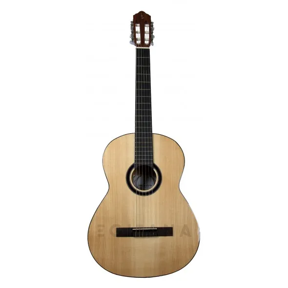 guitarra-classica-apc-1s_5f842bc8394c6.webp