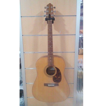 guitarra-folk-giannini-gwsfks-vista-frontal_560044.jpg