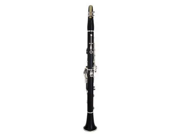 henri-selmer-paris-recital_59032e214b45b.webp