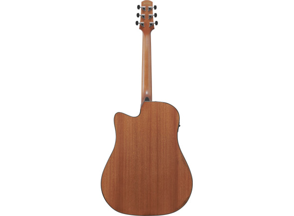 ibanez-aad51ce-dvs_696e4705a5a54.jpg