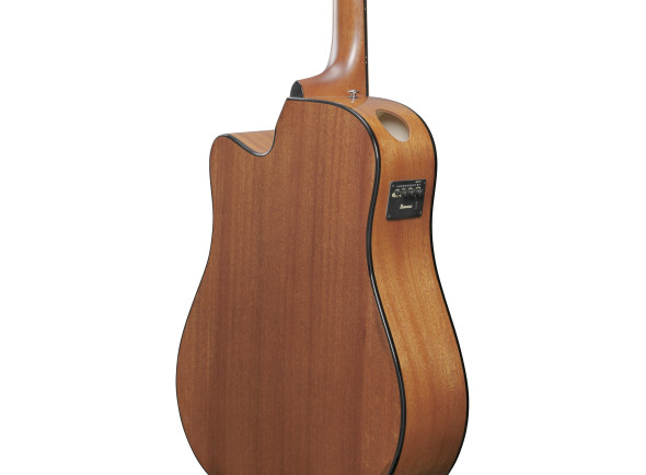 ibanez-aad51ce-dvs_696e471366bb8.jpg