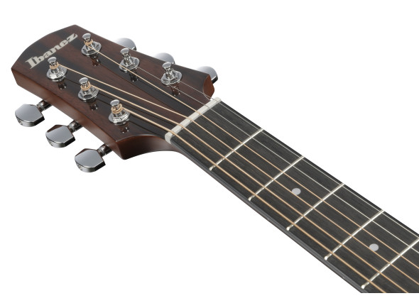 ibanez-aad51ce-dvs_696e47161ace6.jpg