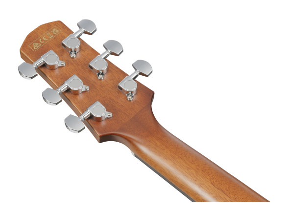 ibanez-aad51ce-dvs_696e47187f3f6.jpg