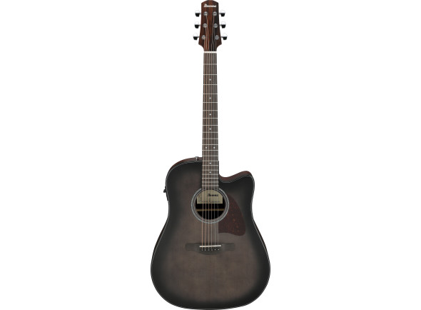 ibanez-aam70ce-tbn_6981c2f1dce60.jpg