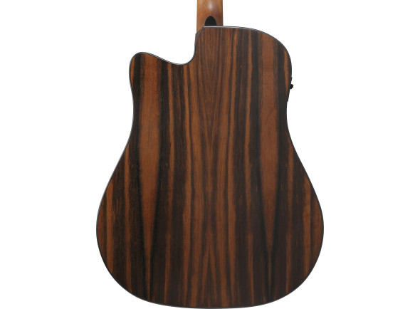 ibanez-aam70ce-tbn_6981c2fd8b058.jpg