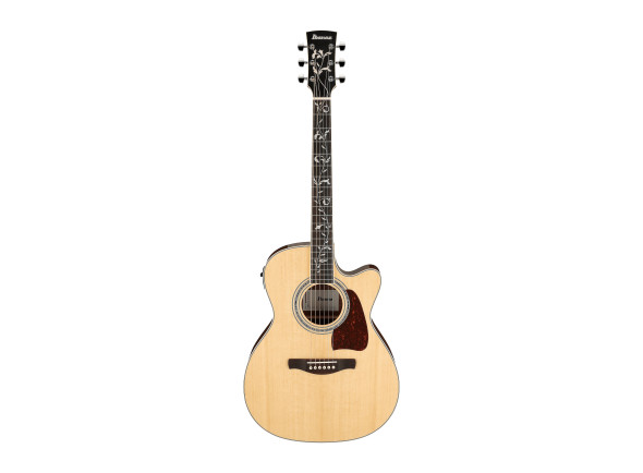 ibanez-ac390ce-nt_6980e364442e5.jpg