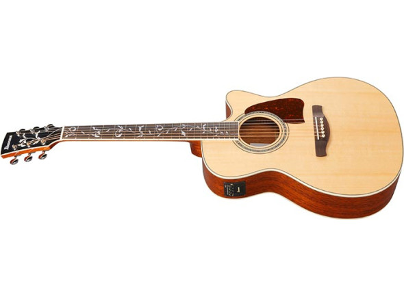 ibanez-ac390ce-nt_6980e369f0ddc.jpg