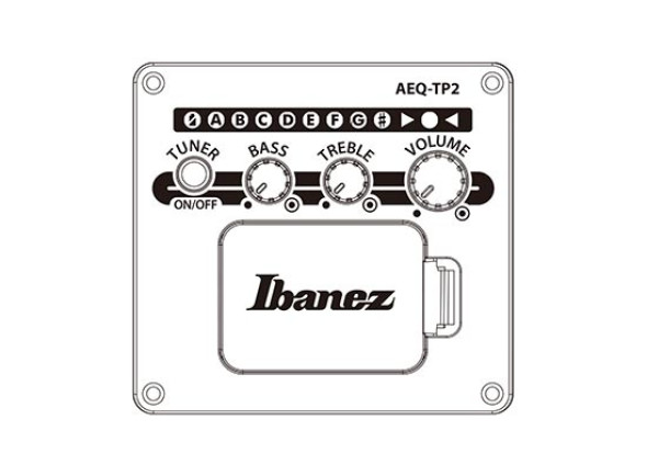 ibanez-ac390ce-nt_6980e36f132e4.jpg