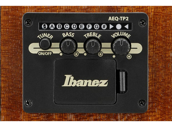 ibanez-ac390ce-nt_6980e37990b66.jpg
