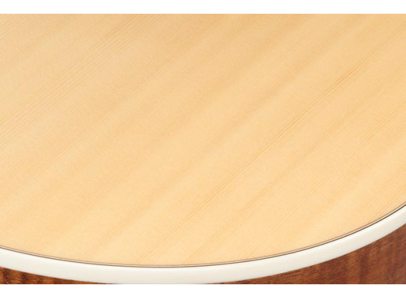 ibanez-ac390ce-nt_6980e37b62994.jpg