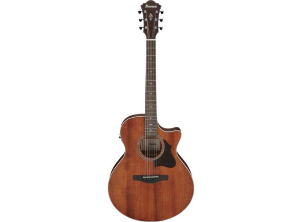 ibanez-ae140-opn_69e7452f54c43.jpg