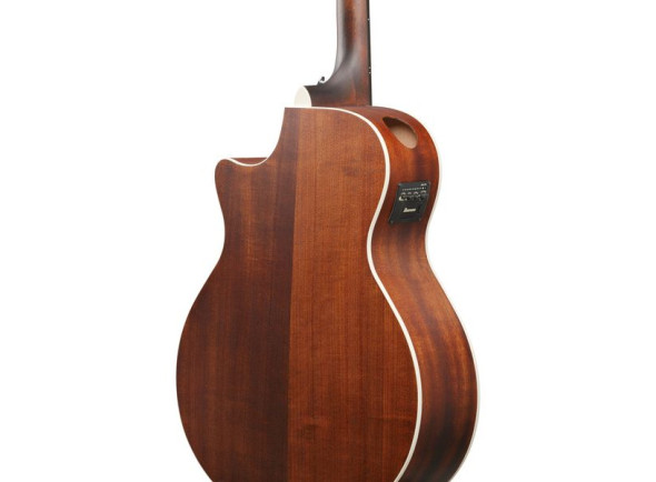 ibanez-ae140-opn_69e7453749c8d.jpg