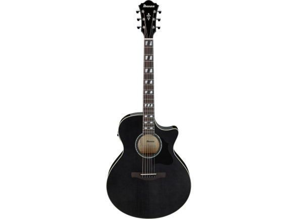 ibanez-ae170tbk-transparent-black_6978e50eea15f.jpg