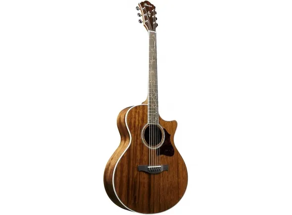 ibanez-ae245-nt_5caf5da5103de.webp