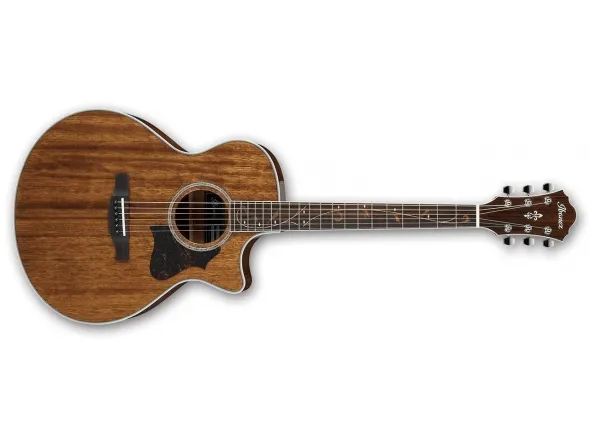 ibanez-ae245-nt_5caf5da5a710c.webp