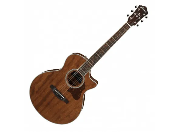 ibanez-ae245jr-opn_600f00b19eb37.webp