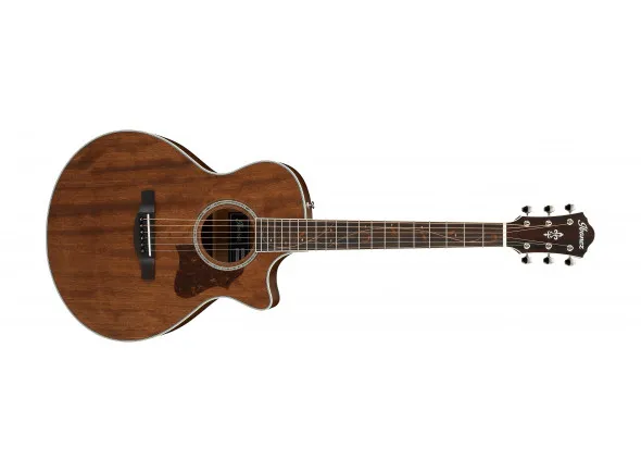 ibanez-ae245jr-opn_600f00b23f362.webp