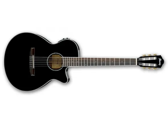 ibanez-aeg10nii-bk_5c94b7e18ab53.webp