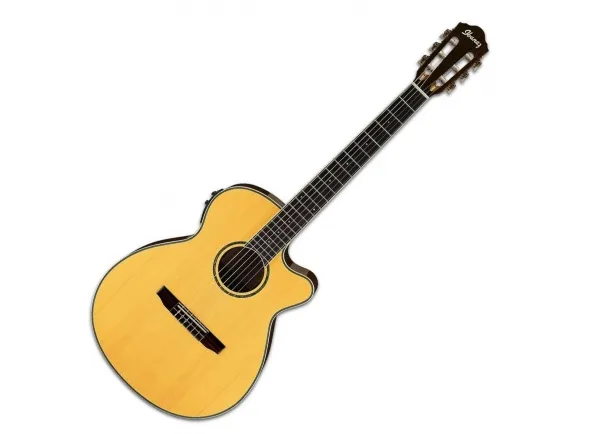 ibanez-aeg10nii-nt_5c94b85e2b982.webp