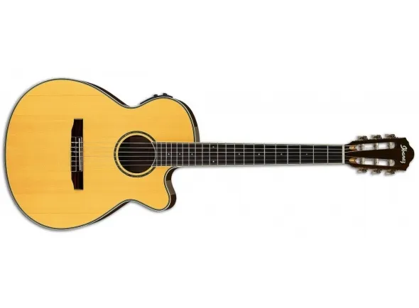 ibanez-aeg10nii-nt_5c94b85eed817.webp