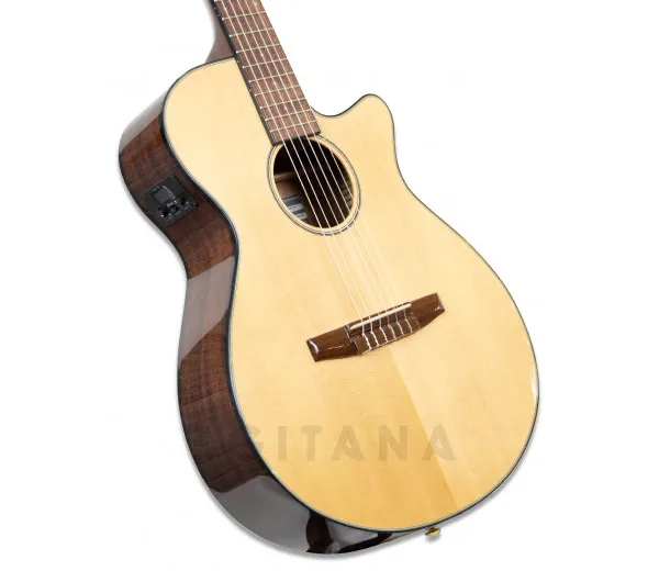ibanez-aeg50n-nt-nylon_6010364d795d7.webp