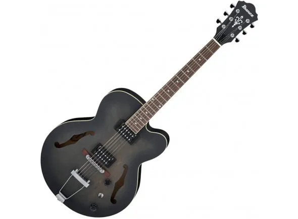 ibanez-af55-tkf_5f5114988bece.webp