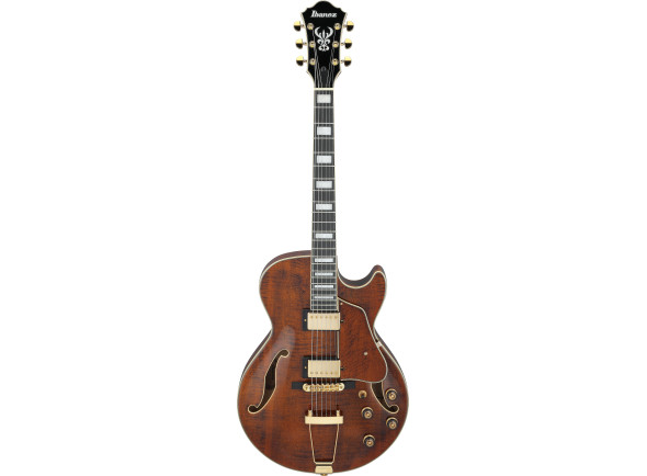 ibanez-ag95mg-artcore-expressionist-dark-amber_6978e721c9631.jpg